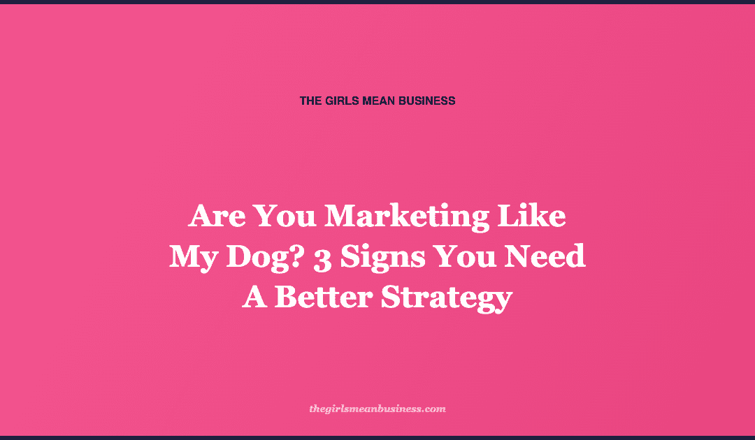 Are You Marketing Like My Dog? 3 Signs You Need A Better Strategy